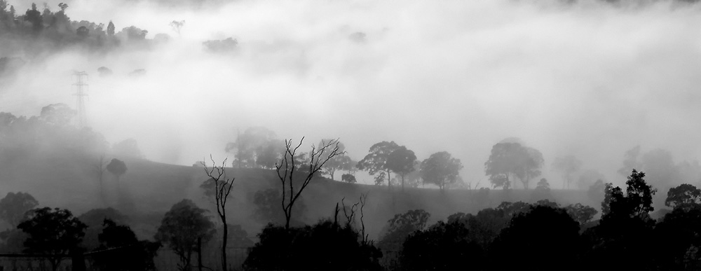 8. Platz Peter Marion